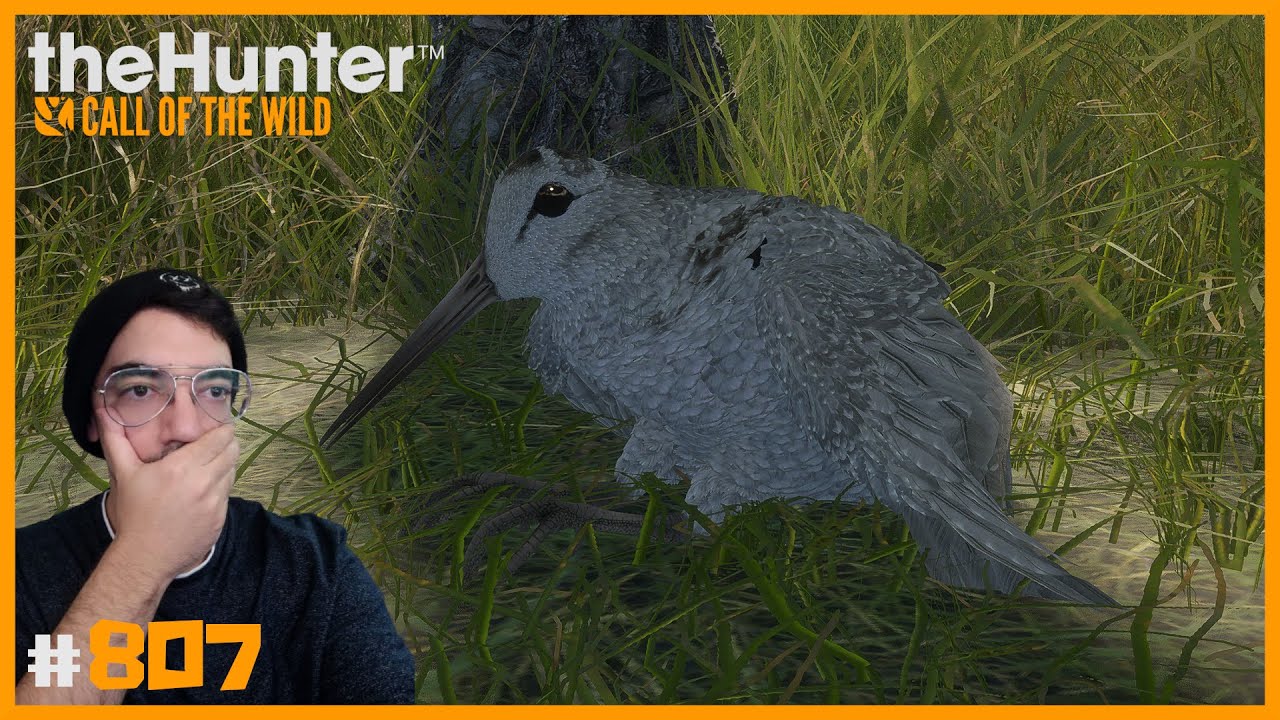 ESTE MAPA ME TENÍA PREPARADA UNA SORPRESA... | 🦌theHunter: CotW #807