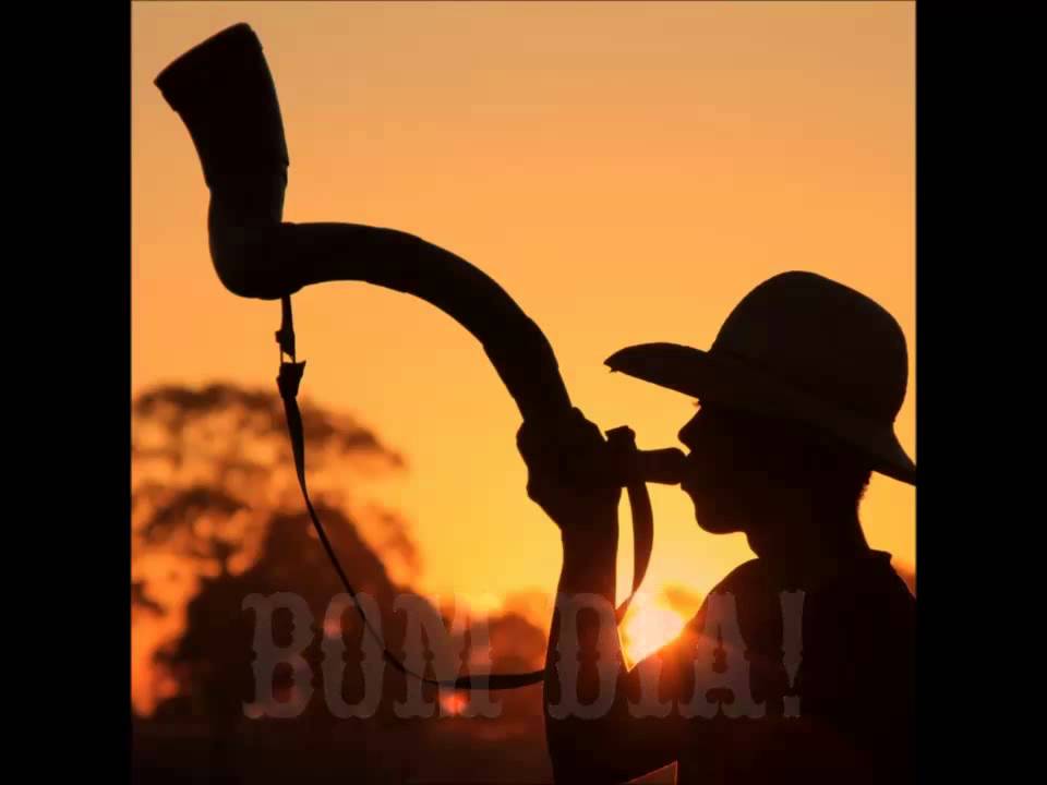 Som de Berrante - Royal Ranch