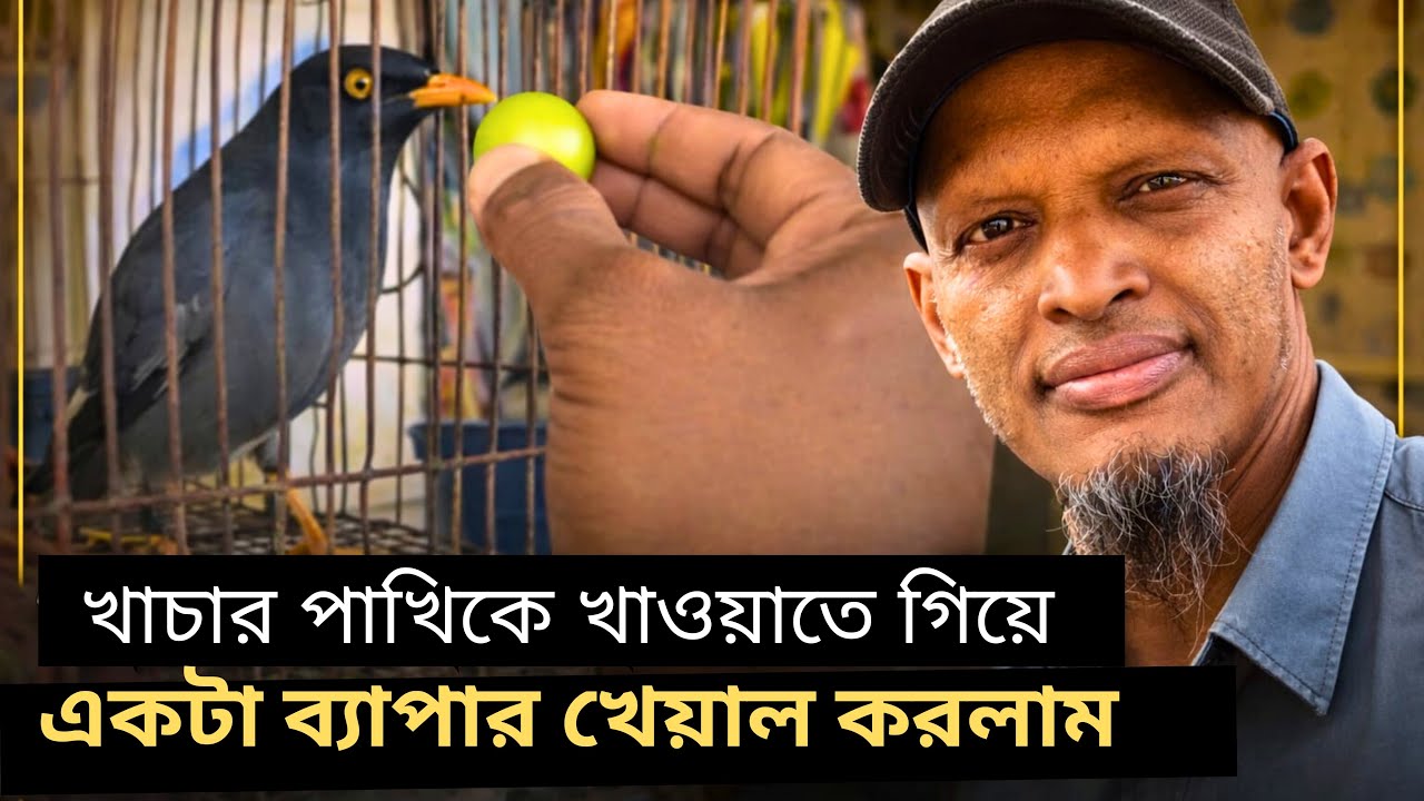 খাঁচার পাখিকে খাওয়াতে গিয়ে হঠাৎ একটা কথা খেয়াল করলাম…
