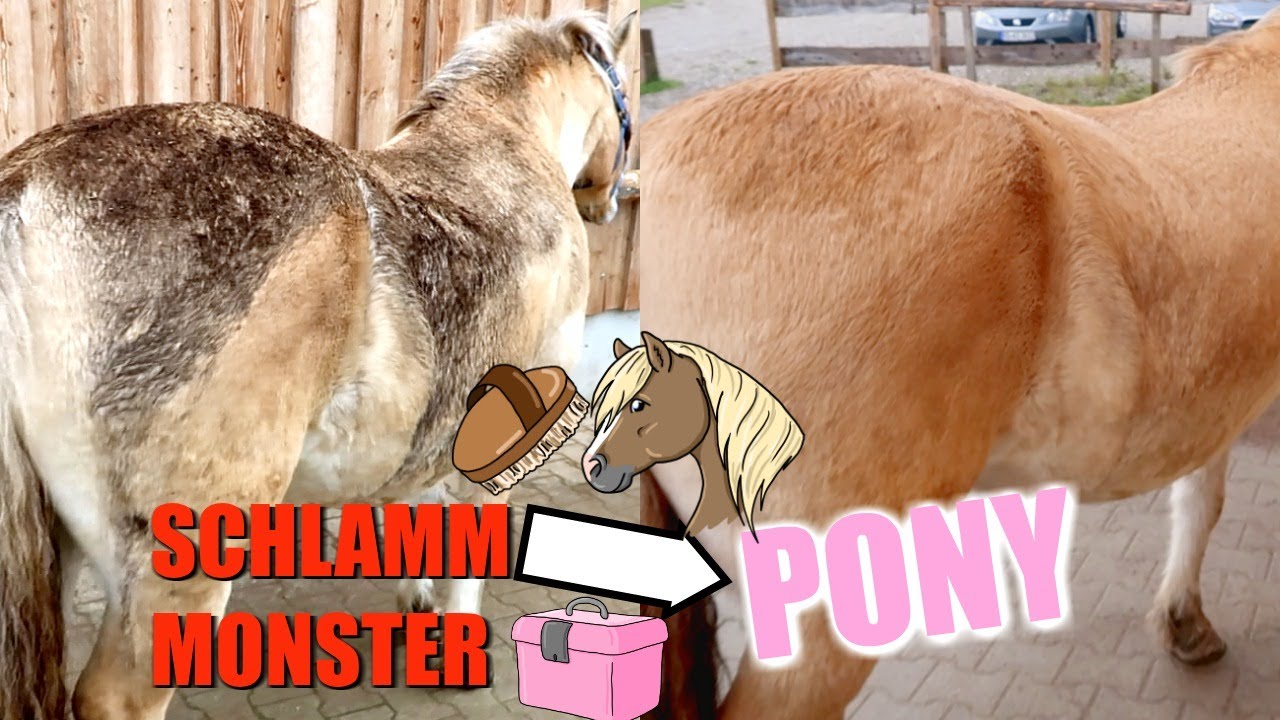 Vom Schlamm Monster zum Pferd