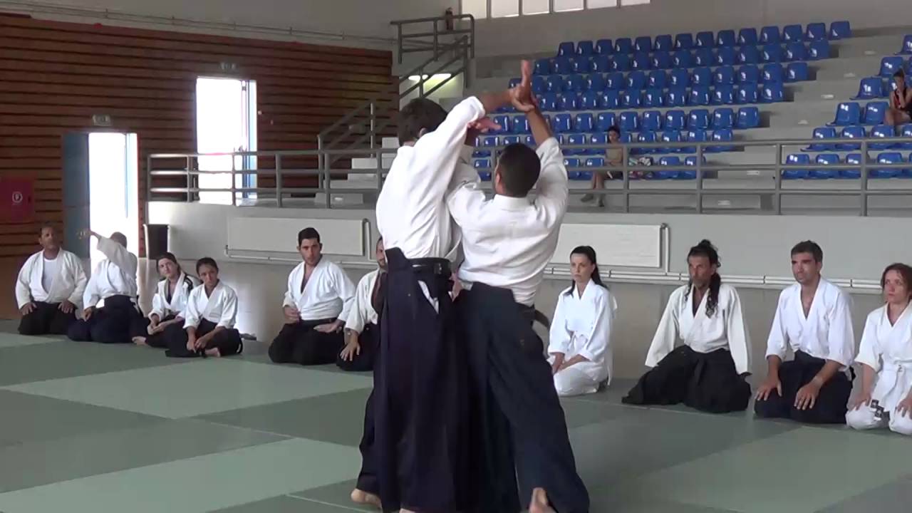 SummerCamp2015  (Aikido Academy)