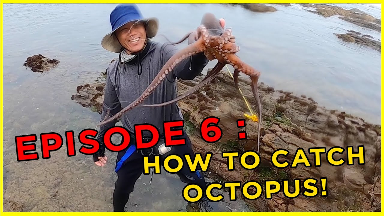 EPISODE 6: HOW TO CATCH OCTOPUS | Catch & Cook South Africa