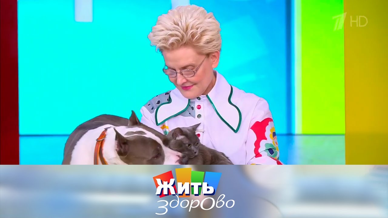 ЖЗ. Хламидии. 16.09.2024