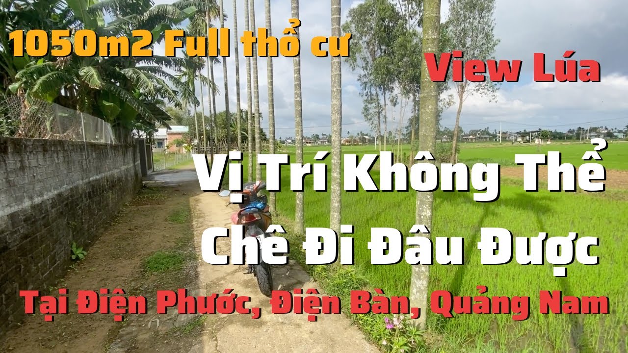 B&aacute;n Đất Vườn 1050m2, View L&uacute;a rất đẹp, th&iacute;ch hợp x&acirc;y Nh&agrave; Vườn, DT 26x41 tại Điện B&agrave;n, Quảng Nam.
