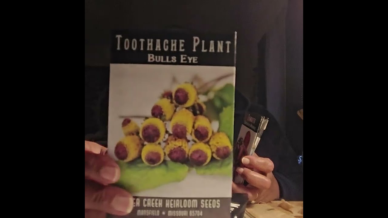 Seeds, Seeds, And More Seeds #globalgardencommunity  #texas  #gardening  #zone8b #seedmas