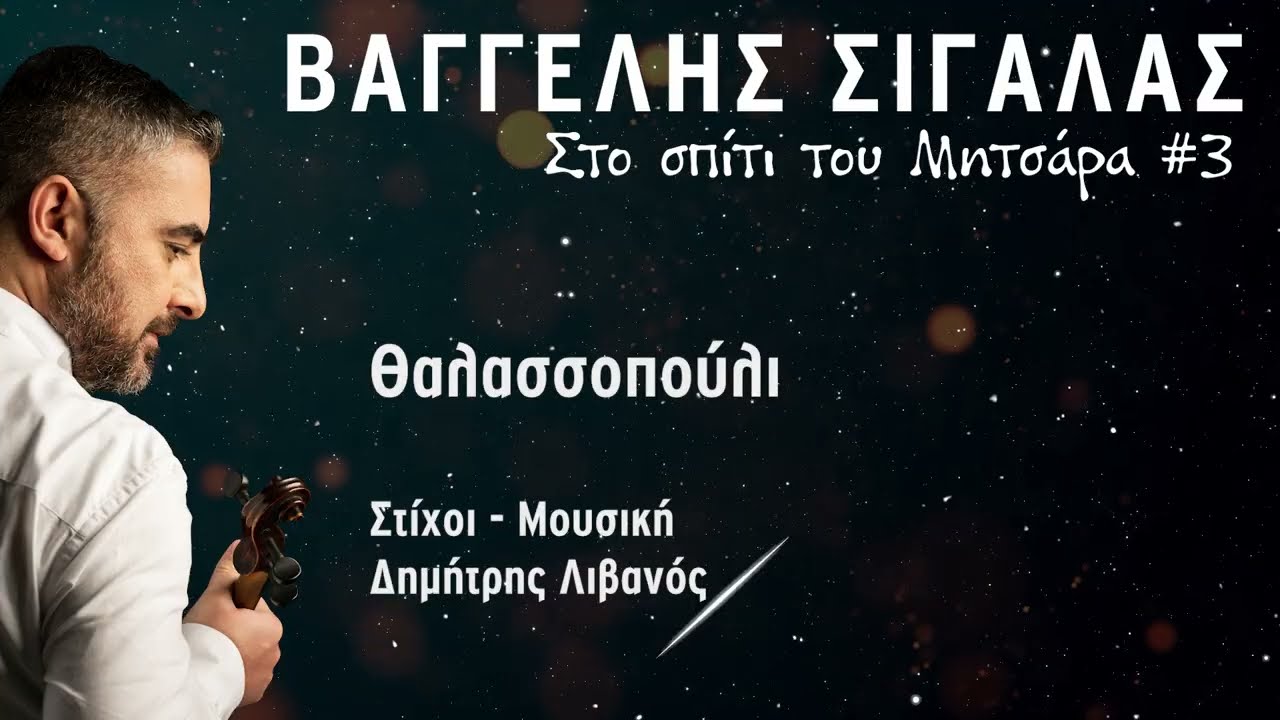 Θαλασσοπούλι κ.α. Βαγγέλης Σιγάλας 