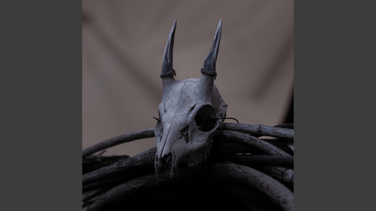 Visceral