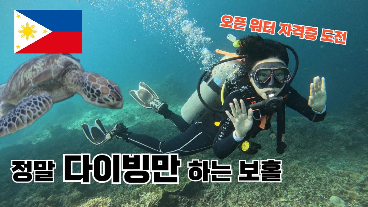 6개월만에 다시 간 보홀│오픈워터자격증 도전│스쿠버다이빙│Bohol(3)