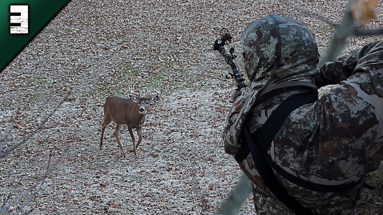 Shooter Michigan Whitetail Hunt | Chasing Moose | Deer Season 2024