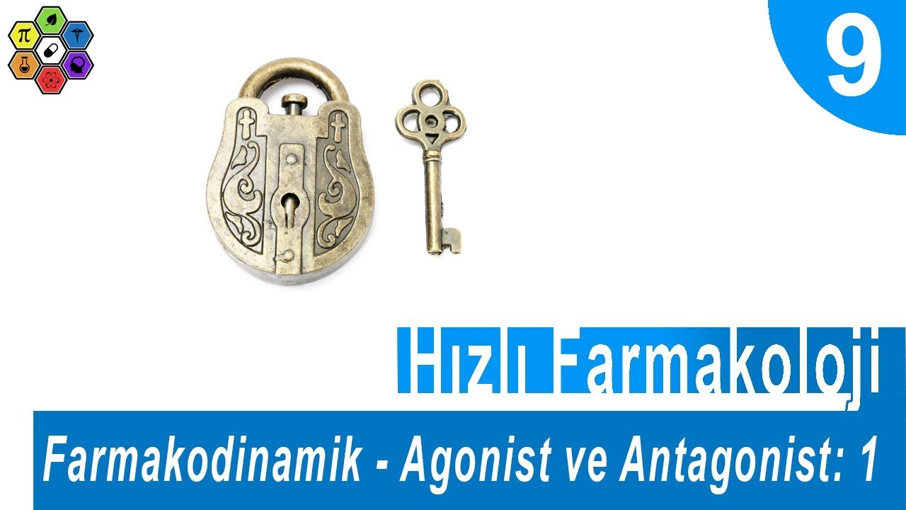 FARMAKODİNAMİK: AGONİST VE ANTAGONİST | Hızlı Farmakoloji #9