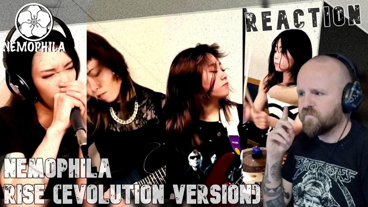 Die Japanerinnen rocken auch zu viert weiter | NEMOPHILA - Rise (Evolution Version) | Reaction