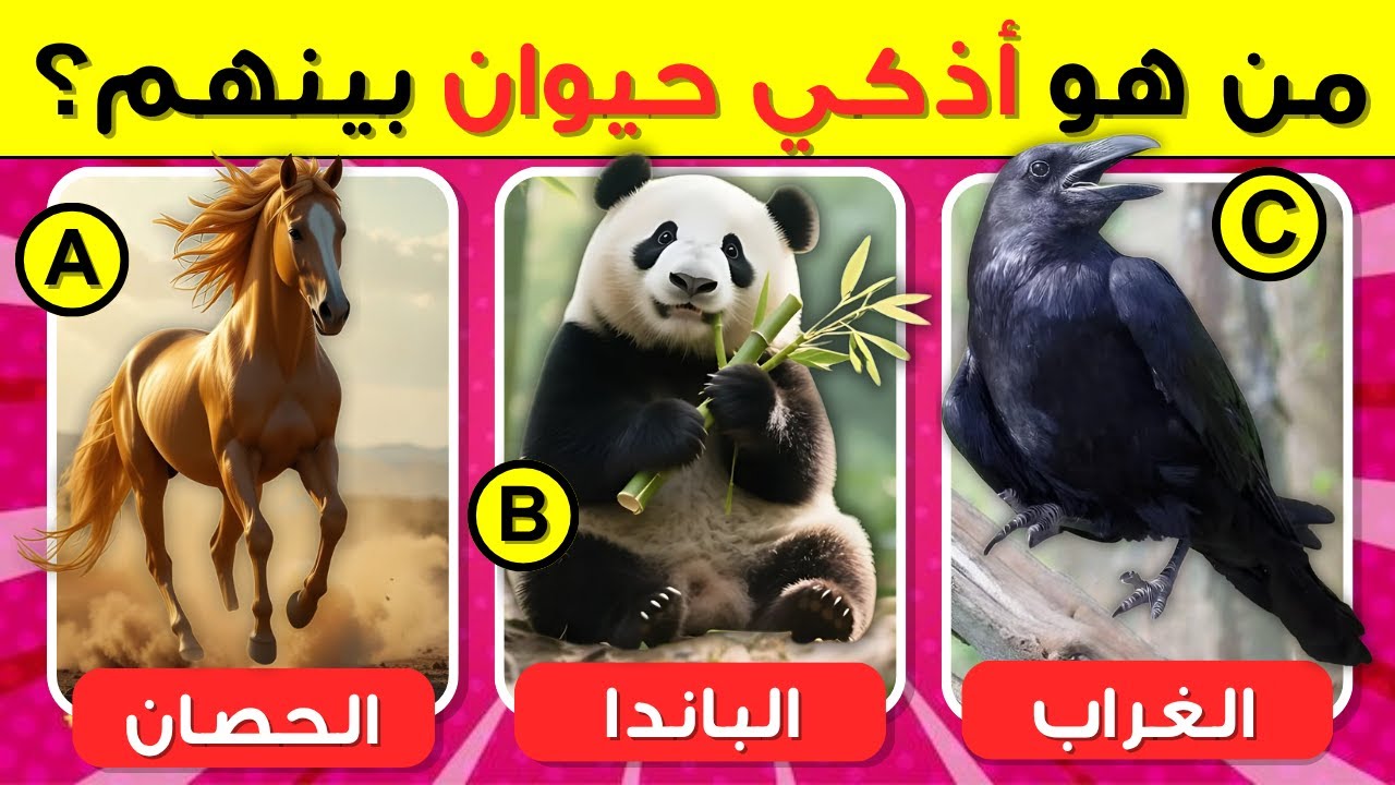 50 اسئلة واجوبة ومعلومات ثقافية مفيدة عن الحيوانات | اسئلة صعبة جدا ! الغاز للاذكياء فقط ..!!
