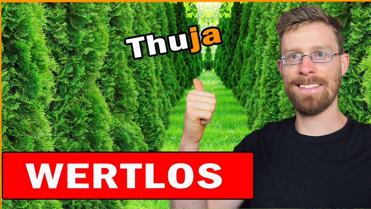 Lorbeer und Thuja SCHADEN deinem GARTEN - Diese 5 Hecken Pflanzen sind viel besser 👍