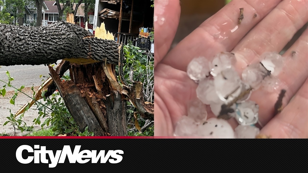 Severe thunderstorm in Edmonton region impacting infrastructure and knocking down trees