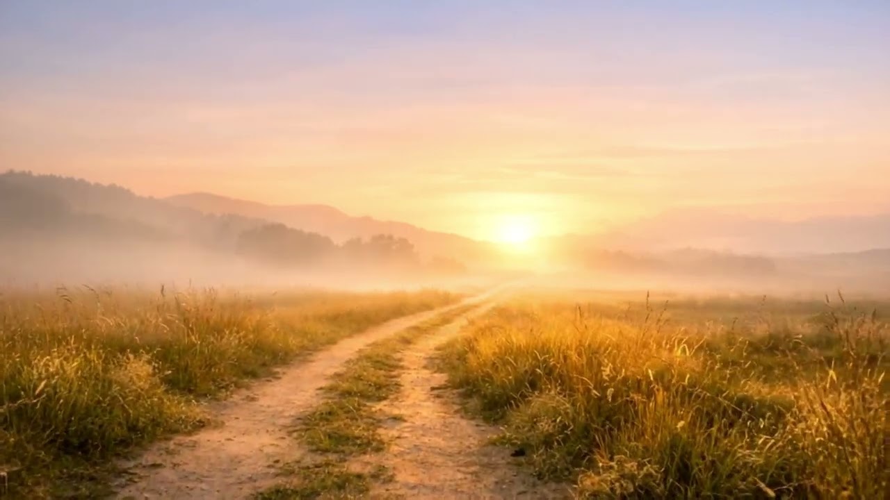 I Will Trust in You | A Worship Song for Uncertainty