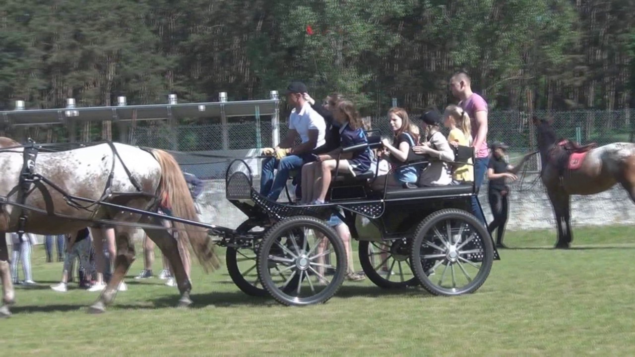 Dzień Dziecka w Radziejowie 2017