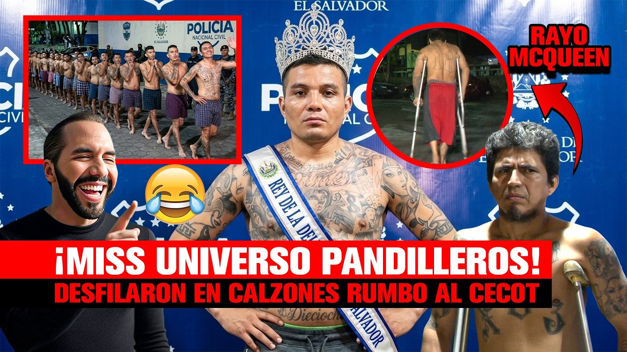 😂🔥 ¡MISS UNIVERSO PANDILLEROS! Así desfilaron en calzones rumbo al CECOT 😂🔥