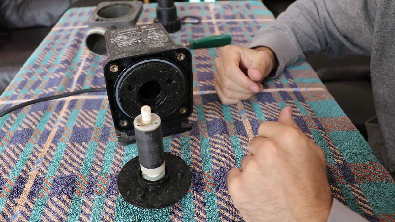 Cleaning a pond pump how to properly clean a superfish pump