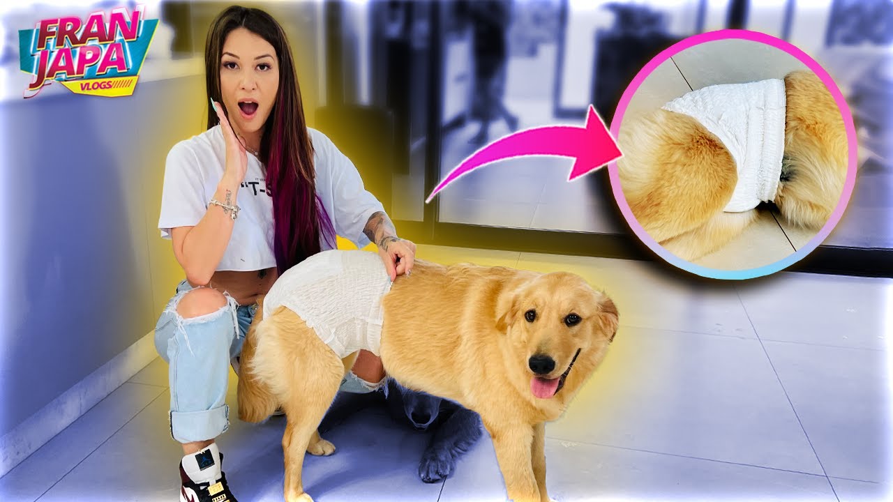 COLOQUEI FRALDA NA MINHA CACHORRA 😱😅 - Fran Japa