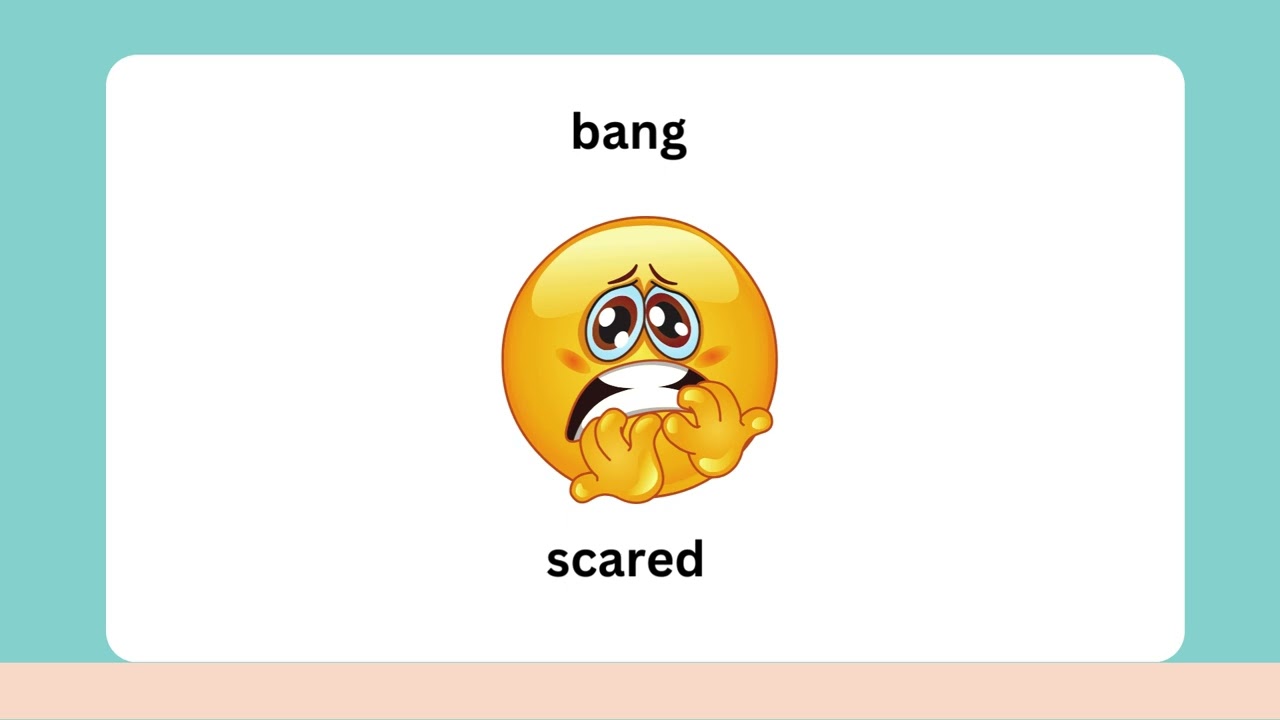 Teaching Afrikaans 2.5 | Emotions Recap | CAPS Grade 2 Afrikaans FAL