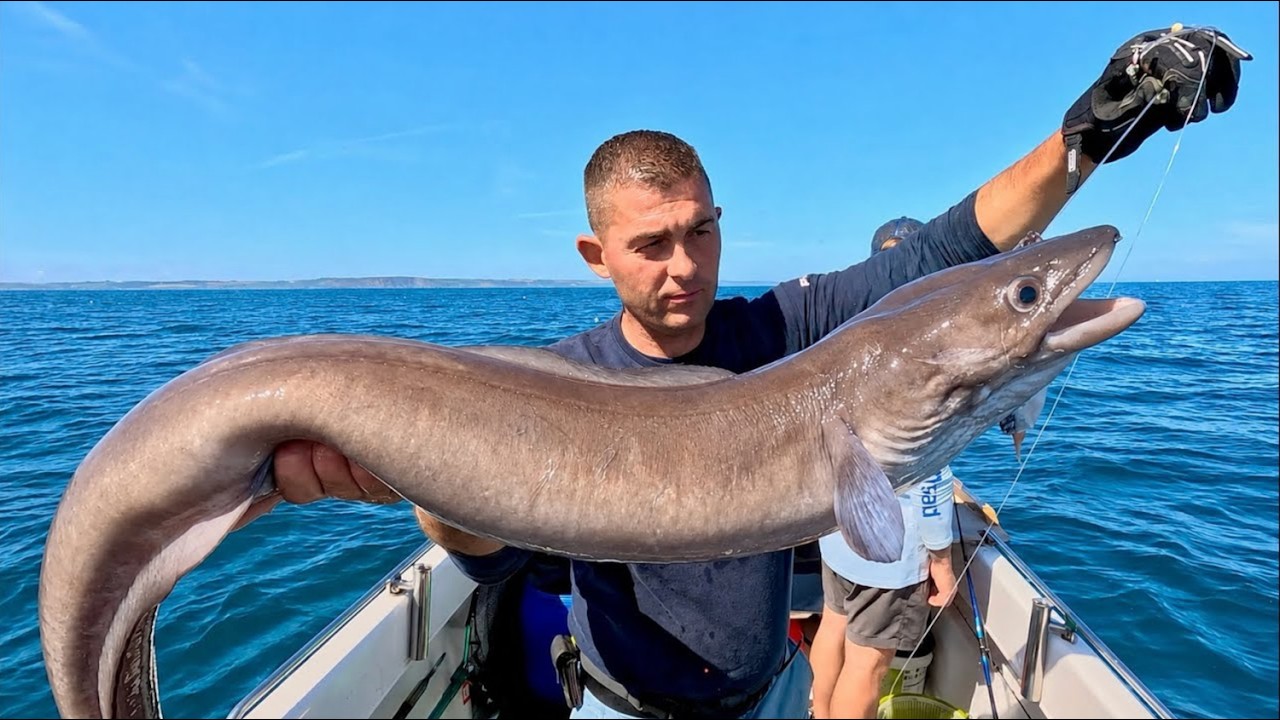 Морская рыбалка в Великобритании - Исследование новых мест ловит много рыбы!!! | Рыбный склад