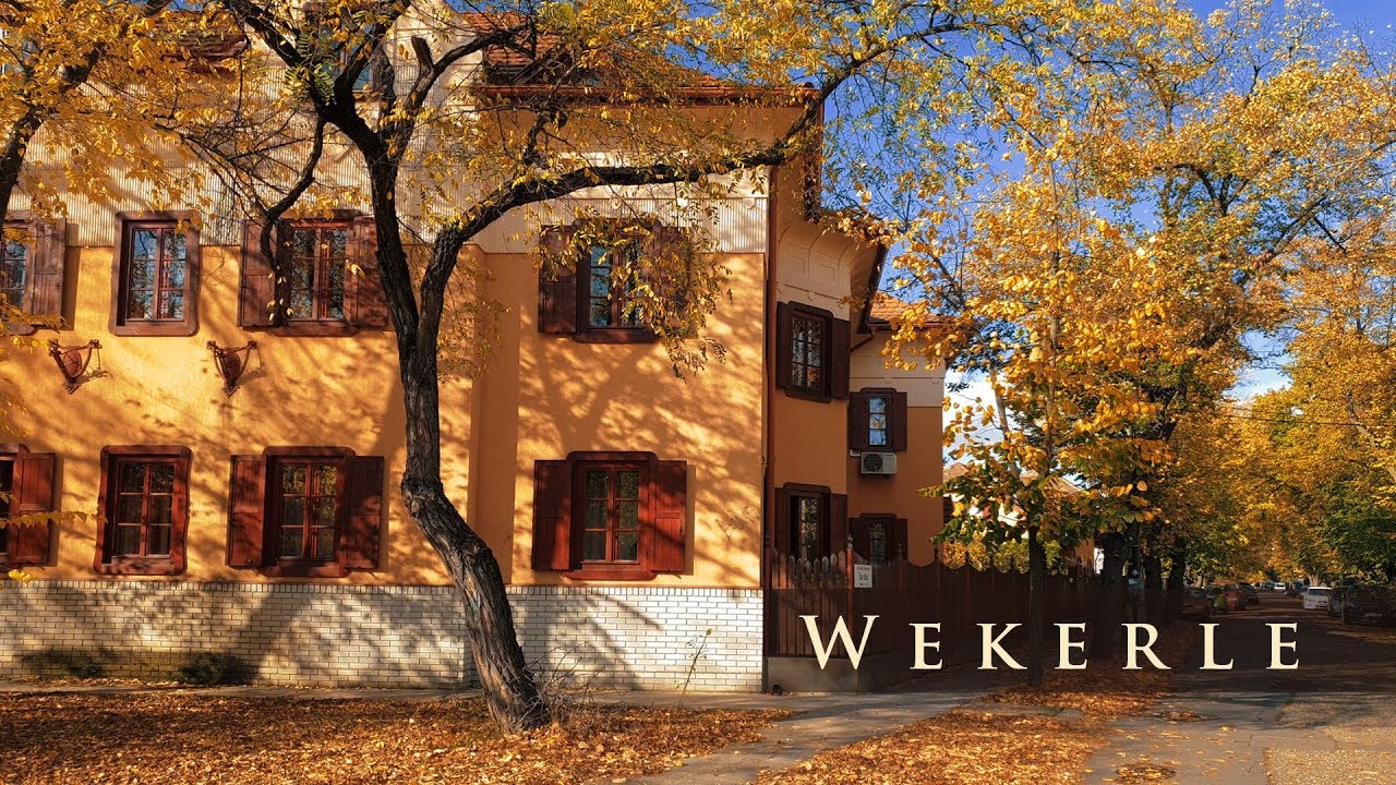 Wekerle - autumn - 4K