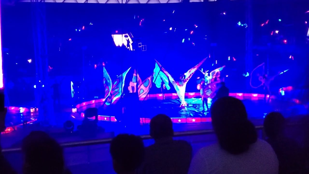 CARDEN  INTERNATIONAL CIRCUS