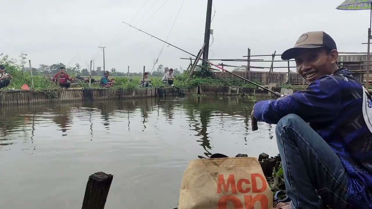 Borongan  bawal bocil