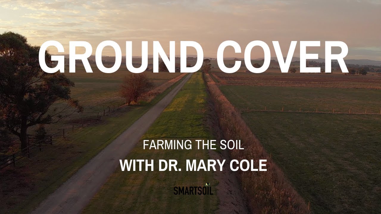 Smartsoil Ground Cover | Farming the Soil with Dr. Mary Cole | Regenerative agriculture