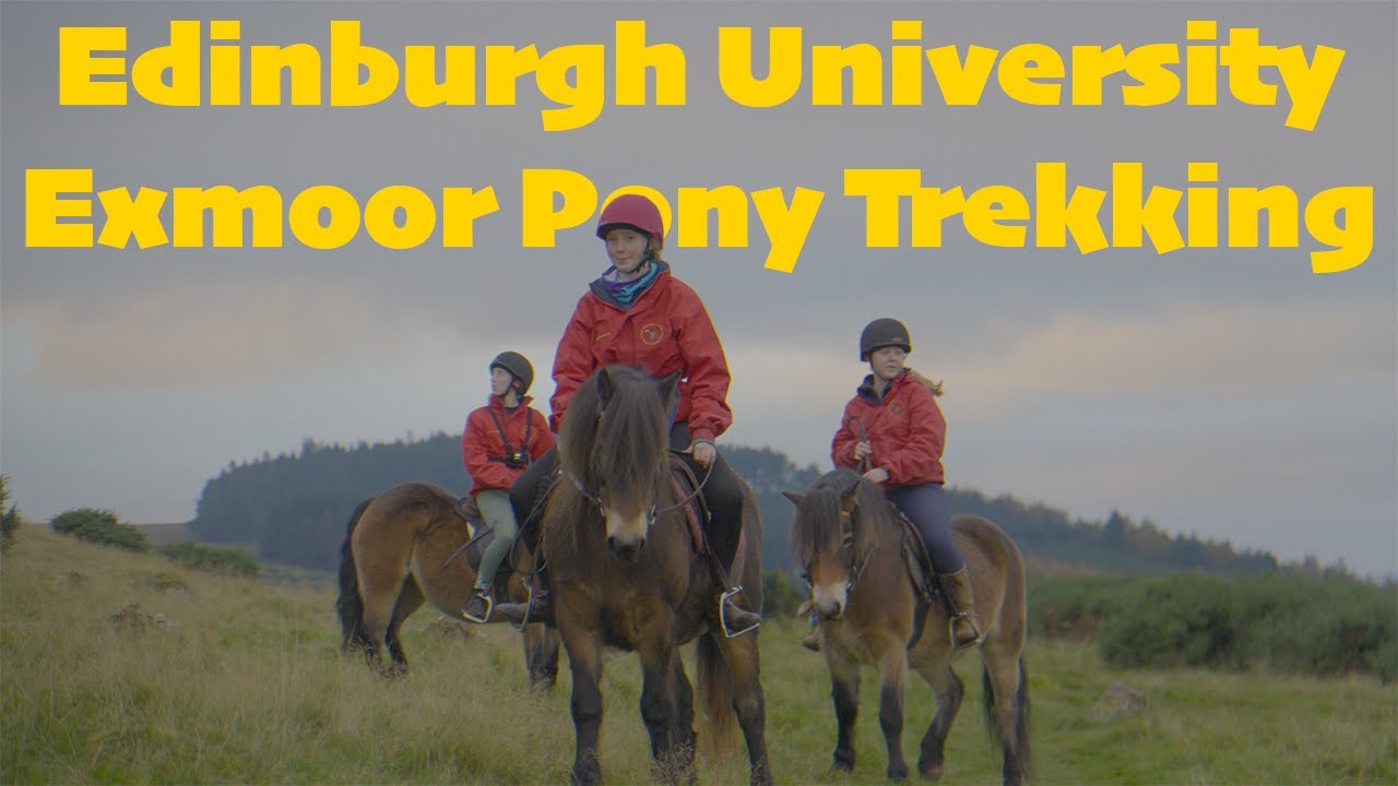 Exmoor Pony Trekking Society | The University of Edinburgh