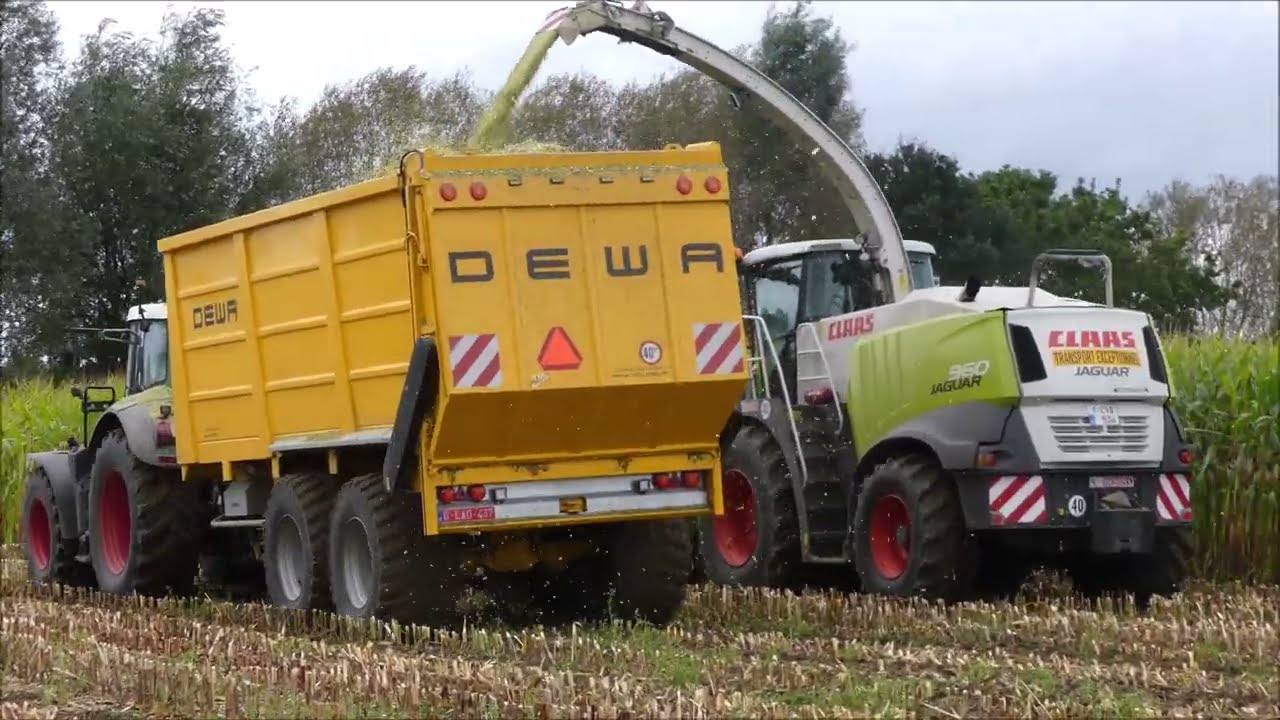 Wellens mais hakselen 2021 (1) , Claas Jaguar 960