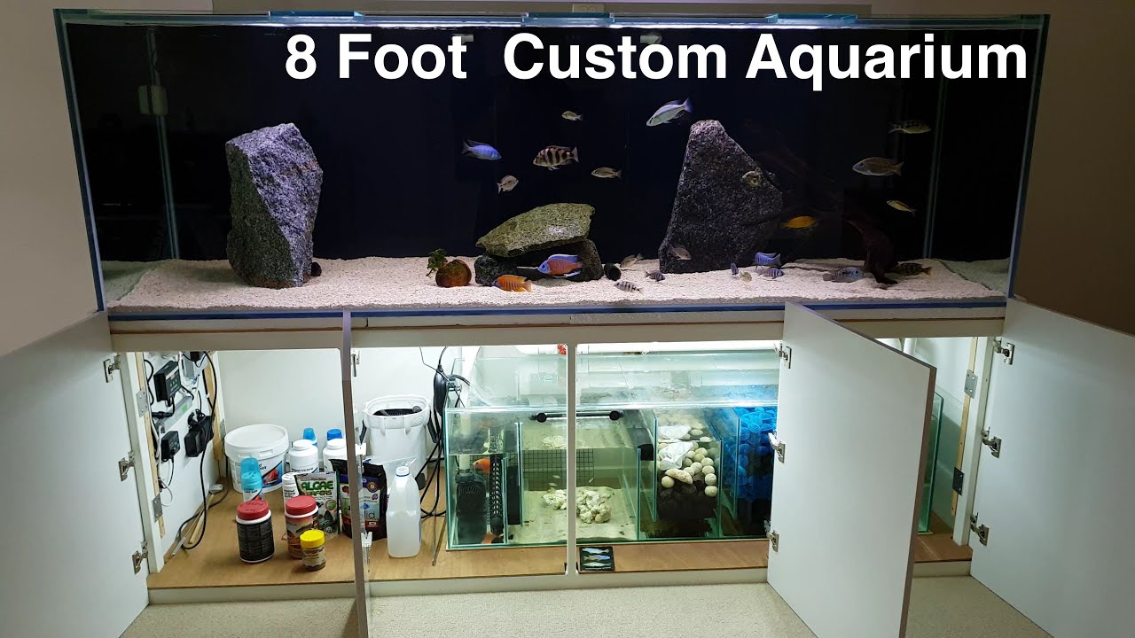 8ft Custom African Cichlid Aquarium Walkthrough
