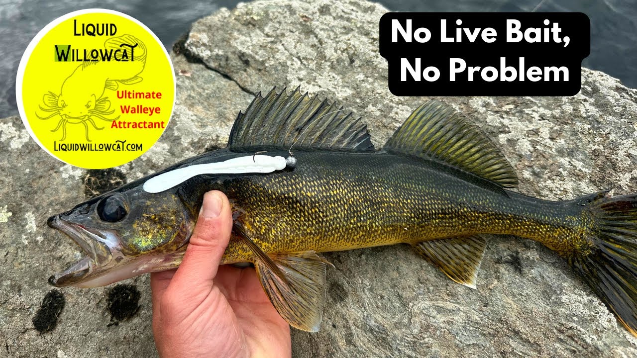 The Perfect Plastic to Replace Live Bait | Quetico Canoe Fishing