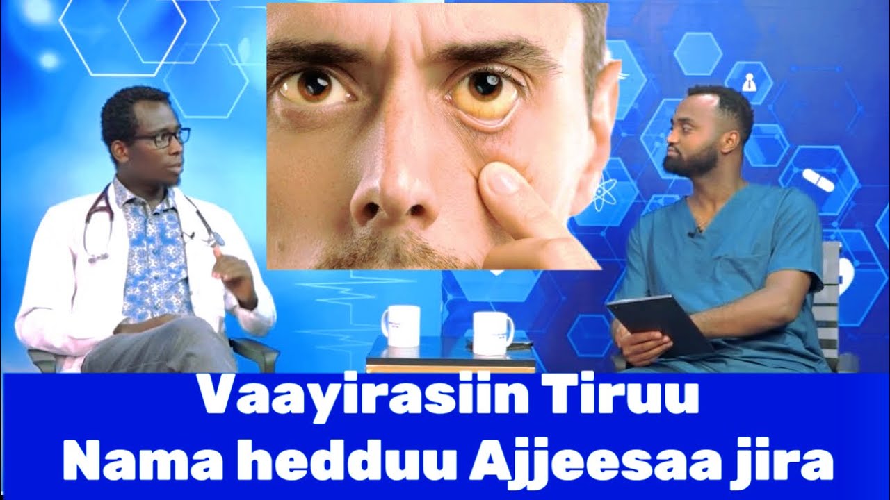 Tiruu keenya maaltu akka hojiin ala tahugodha ?Dooktara Koo turtii  Dr Gurmeessaa waliin goone