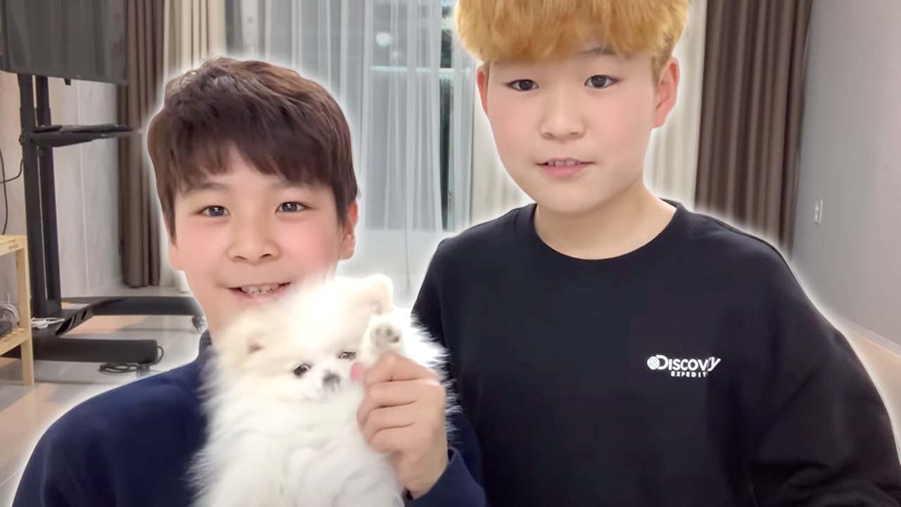 정동원&정동혁 새로운가족이 생겼습니다!!!!!🤭🤭🤭강아지 구찌를 소개합니다~^^#정동원 #미스터트롯#포메라니안