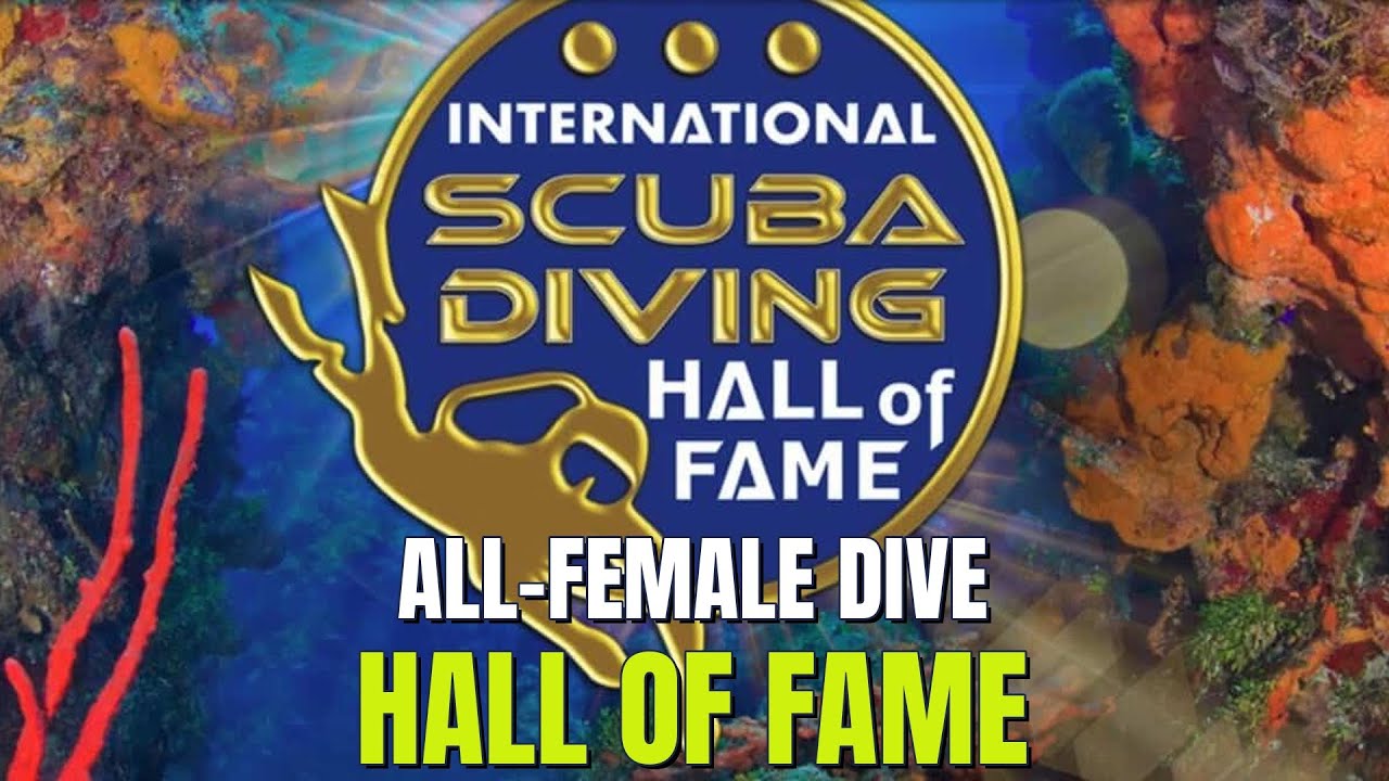 Global Education, UN Diplomacy & Diving History!