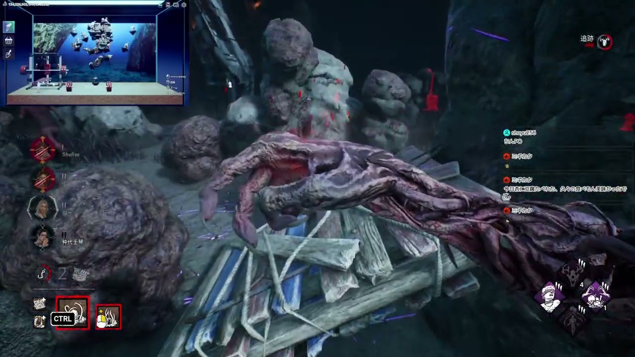 DBD キラーと鯖 R8.2.5