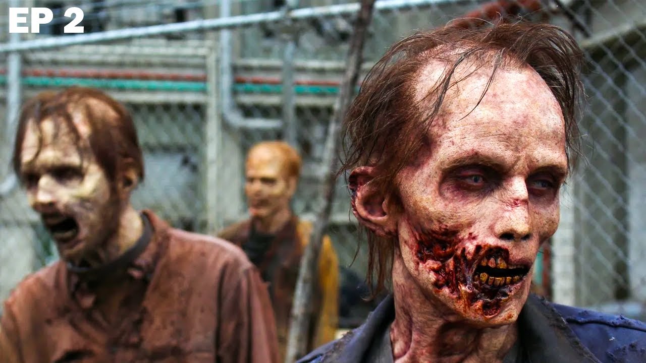 Apr&egrave;s l'apocalypse, des survivants luttent contre les morts-vivants | Films r&eacute;sum&eacute; | Walking Dead