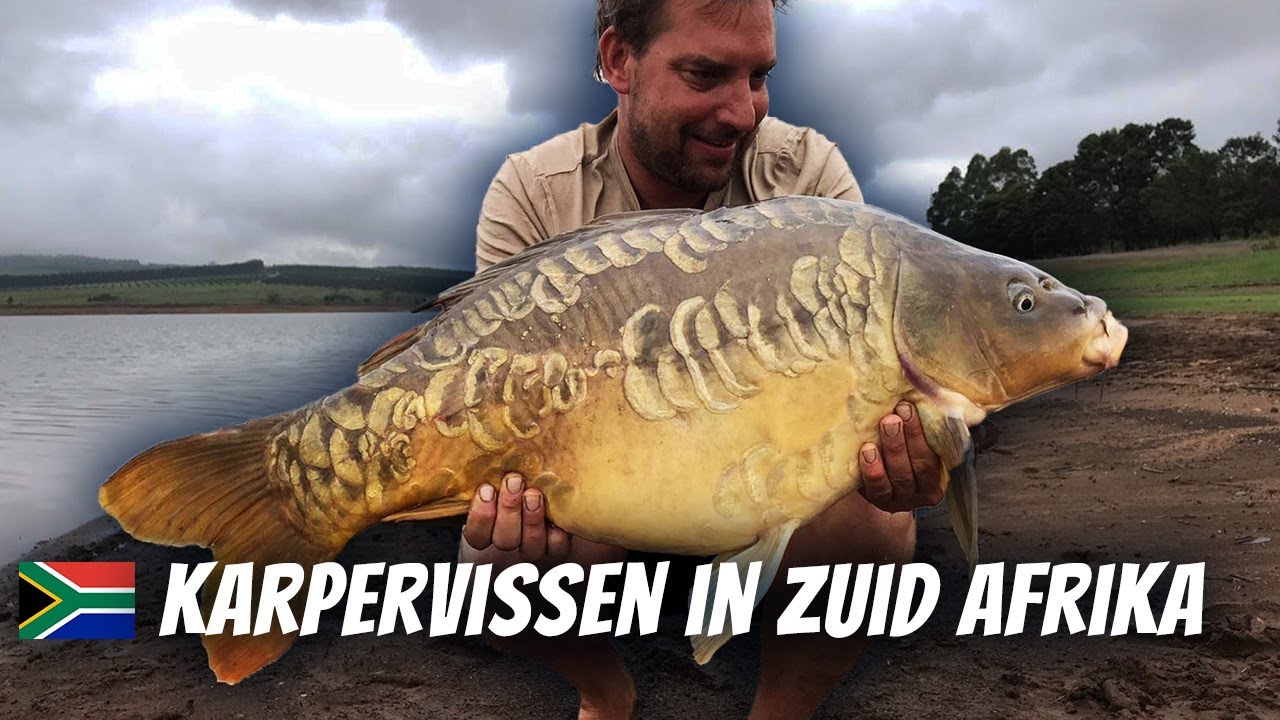 Karpervissen in ZUID-AFRIKA met Roderick Langeveld