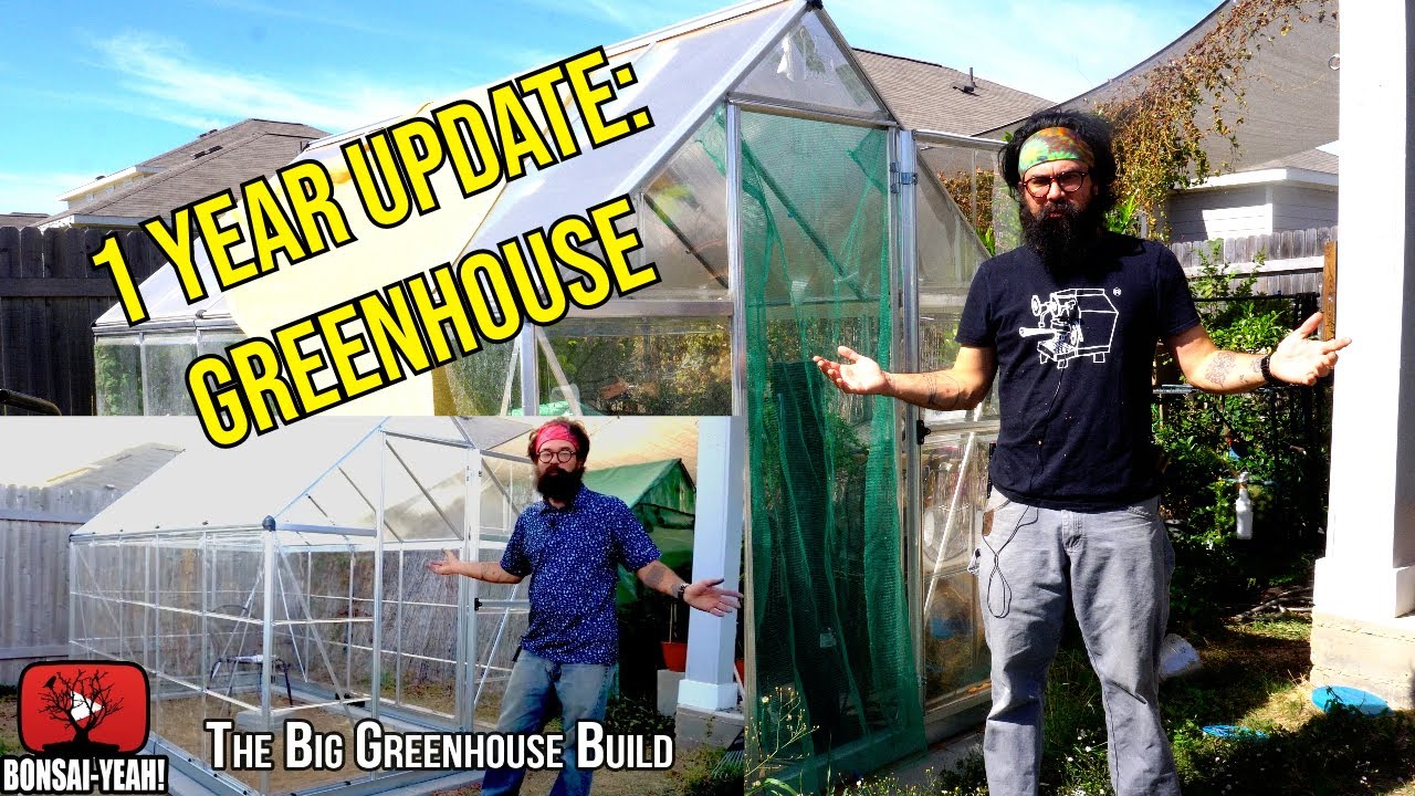 Amazon Palram GREENHOUSE: 1 year update - Bonsai-YEAH!