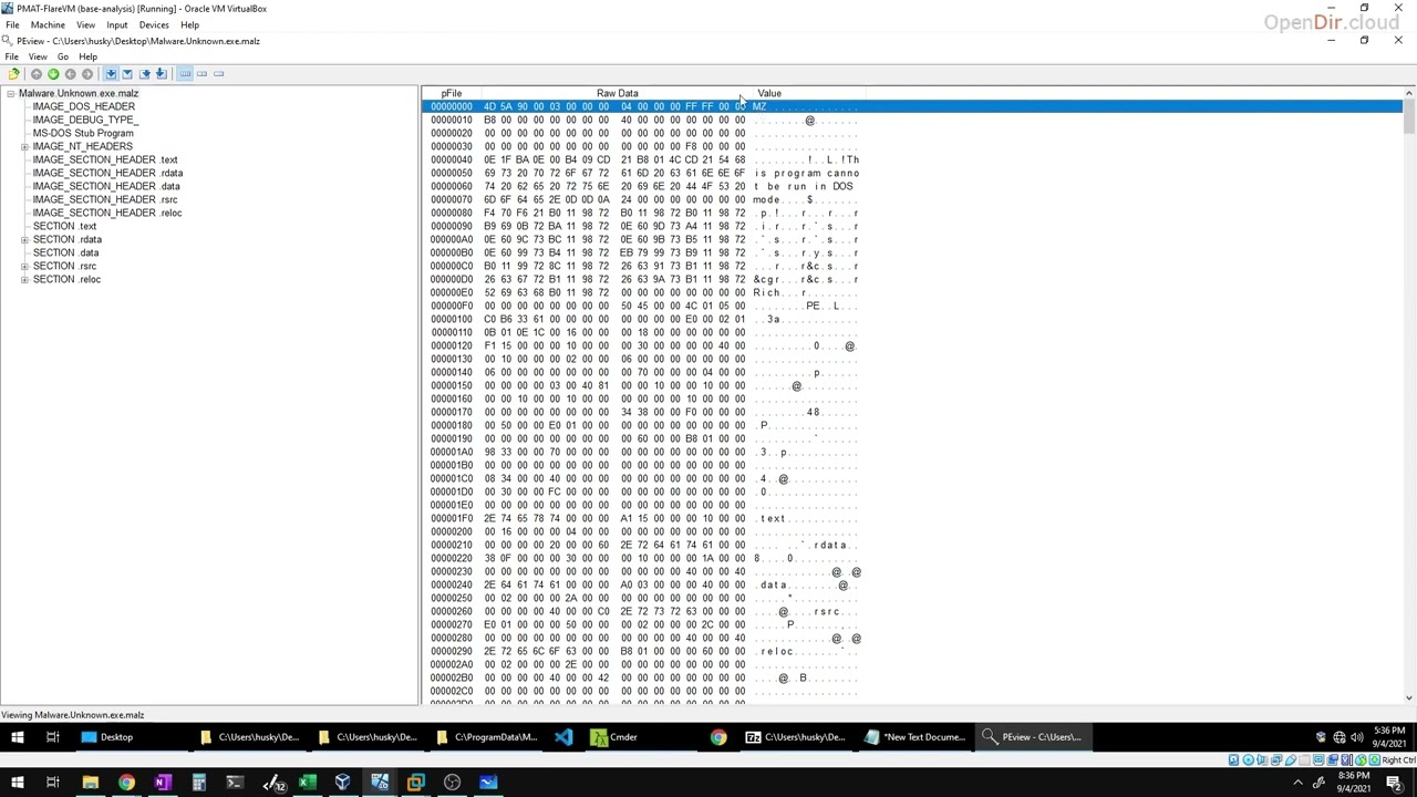 020 Analyzing the Import Address Table hide01 ir