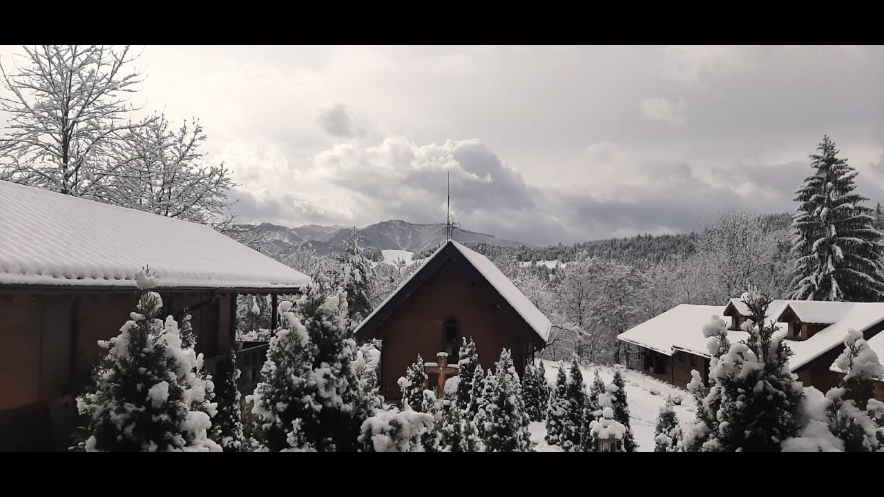 Sfânta Liturghie- Sf. Grigorie Teologul, Patr. Constantinopolului și Sf. Vretanion, Ep. Tomisului
