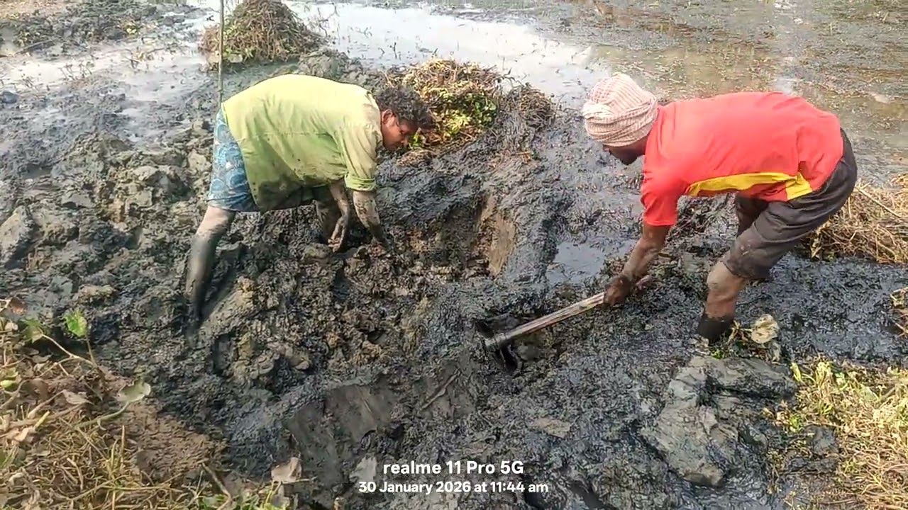 @#কাদা মাছ  😱