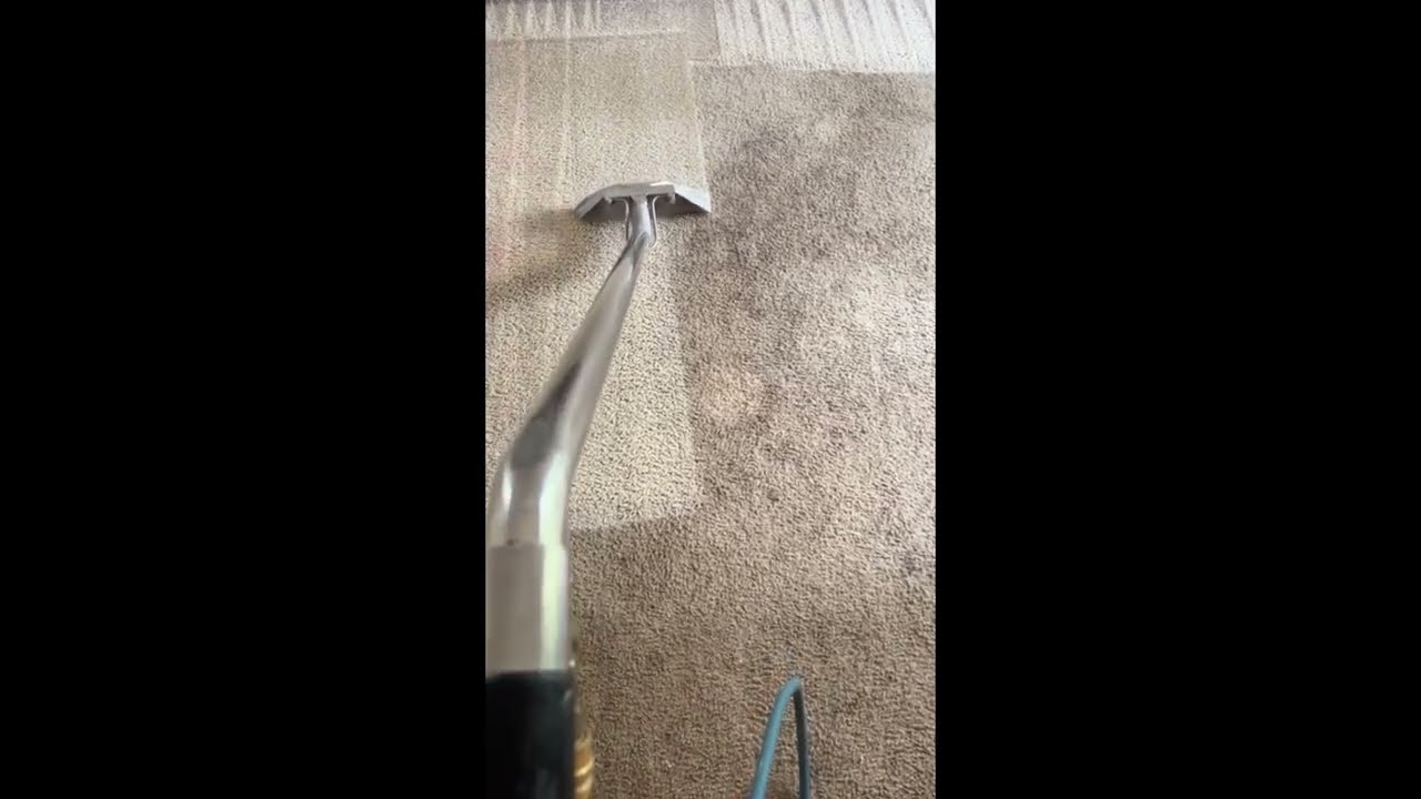 What kind of dirt is this😤Steamy Compilation ♨️ Carpet Cleaning Satisfying Compilation