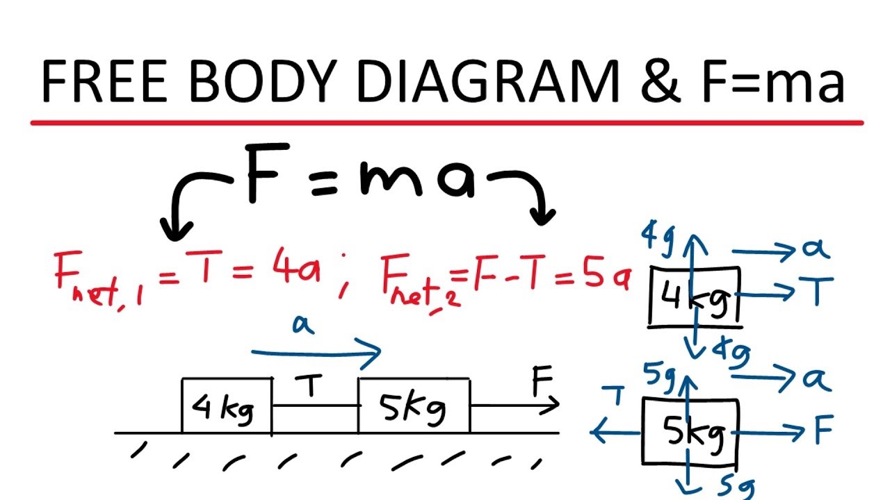 Free body diagrams and Newton's second law of motion - Physics