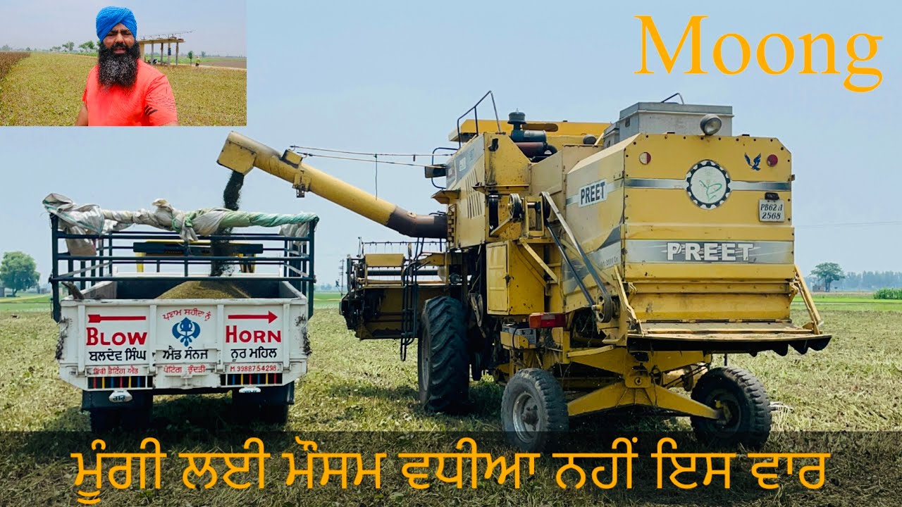 Moong Harvest//ਮੂੰਗੀ ਵੱਢੀ ਅੱਜ ਗਿੱਲੀ ਸੁੱਕੀ ਜਹੀ//SEERA DHILLON