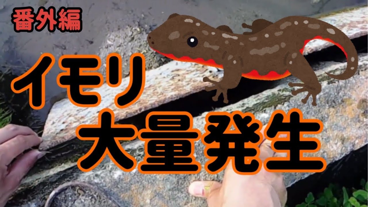 【衝撃】◯◯の裏に