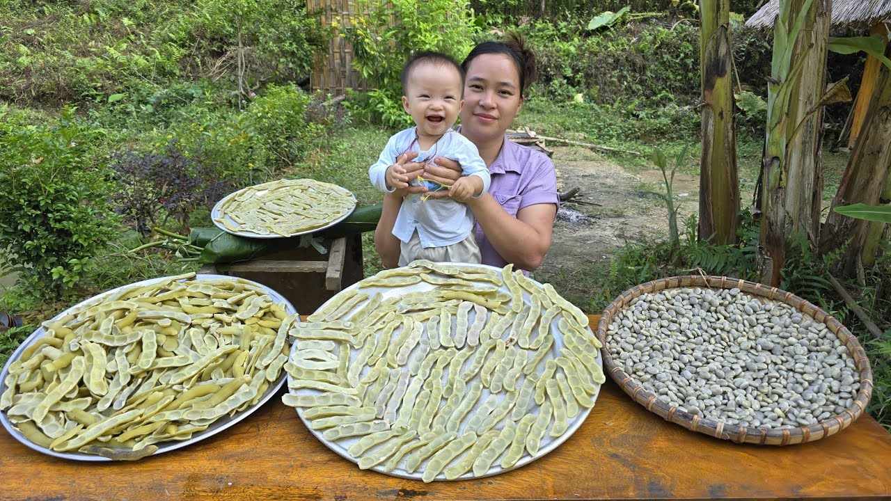 A Vietnamese Farm Girl Harvests and Cooks Velvet Beans | Farm Life with L&yacute; Thị Ca