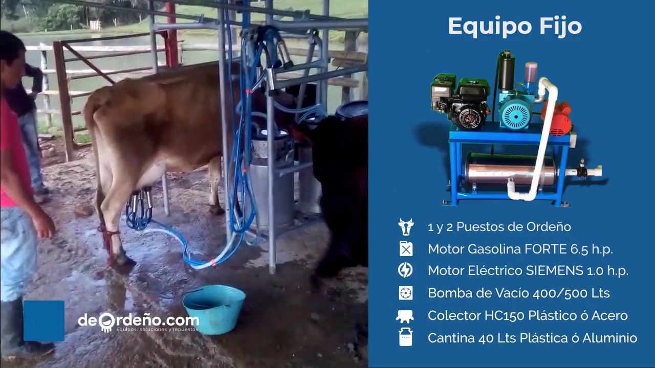 ✅ Equipo de ordeño fijo 🐄🐄| instalación en establo o brete 1 y 2 ✌️ puestos
