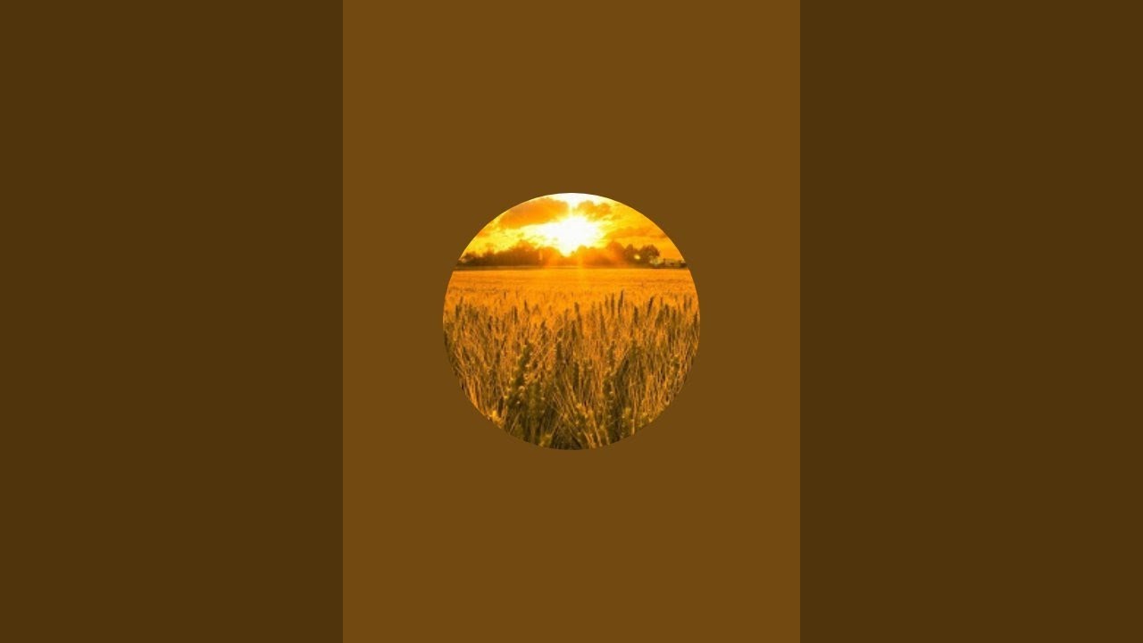 si fue magia tarot piscis y predicciones está en VIVO LIMPIEZA AHORA Y TAROT